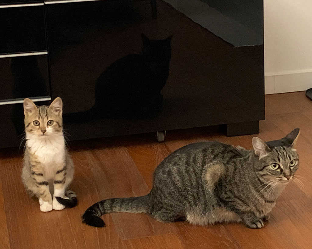 Iaia e Leo di Dalmine